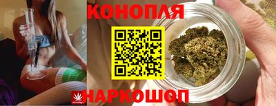 гидропоника Бузулук