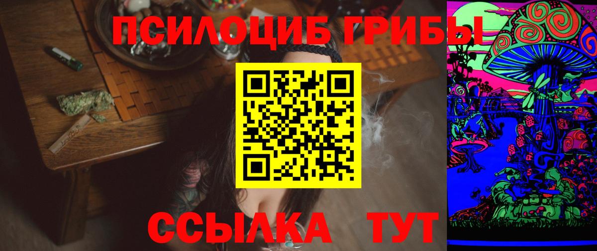 Псилоцибиновые грибы мухоморы Моршанск